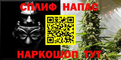 Альфа ПВП Севастополь