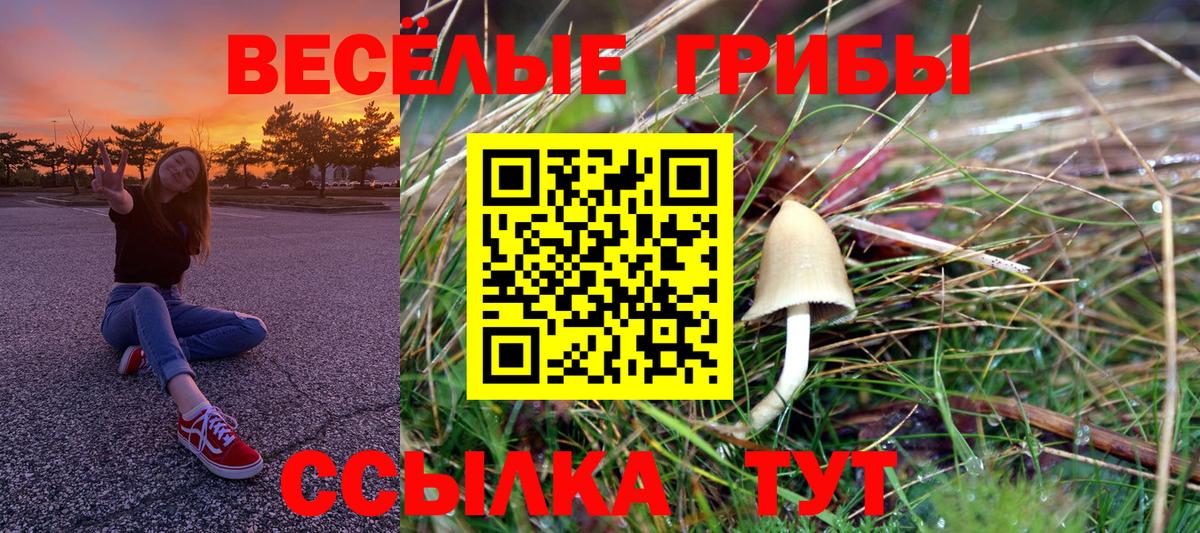 Псилоцибиновые грибы Psilocybe  Вход с VPN  наркотики  Новошахтинск  Псилоцибиновые грибы мухоморы 