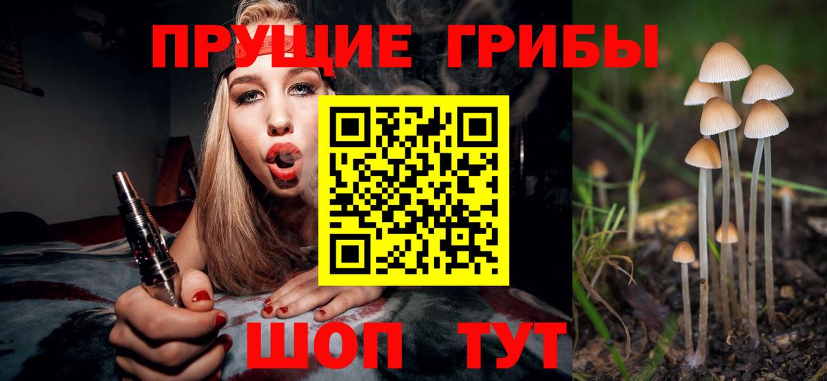 Галлюциногенные грибы Psilocybe Новошахтинск